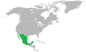 MapMEX