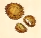 Star Nuts