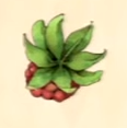 Umbrella Berries