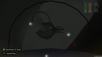 Clear picture of the anglerfish