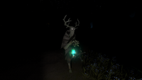 Simulation Stranger's inhabitant