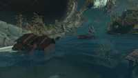 River Lowlands flooded