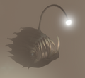 Angler Fish