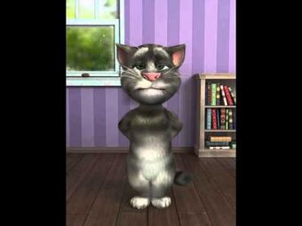 Funny talking tom jokes store