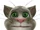Talking Tom Cat (2010)