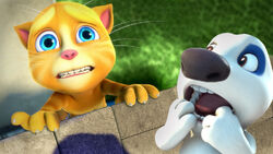 Talking Tom & Friends - Doc Hank (Season 1 Episode 19) 