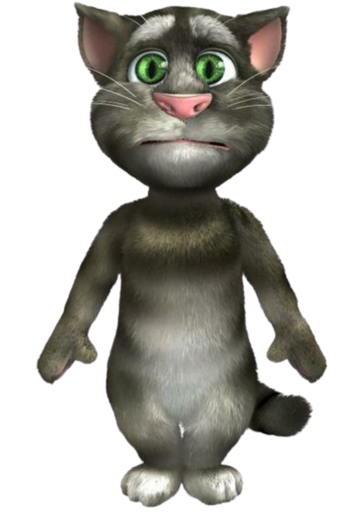 Talking tom cat 2010. Talking Tom Cat. Talking Tom Cat 2. Костюм говорящего Тома.