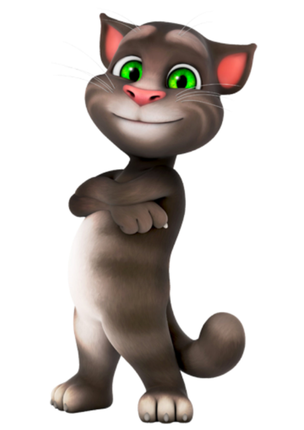 Talking Tom Karting, Talking Tom & Friends Wiki