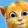 TALKING TOM FRIENDS TV MINI visual data 3