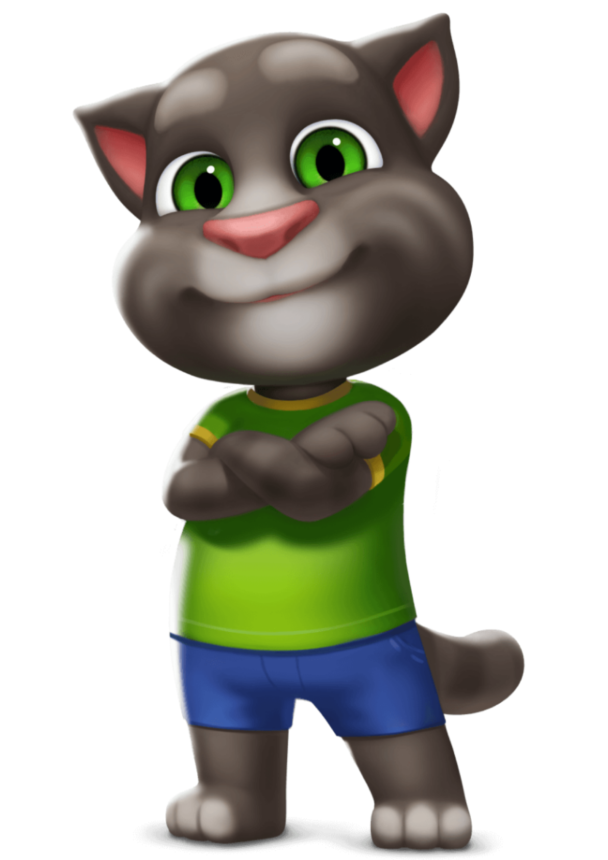 Tom | Talking Tom & Friends Wiki | Fandom