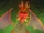 Diamond Dust Dragon