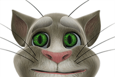 Tom sales cat talking