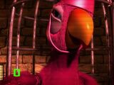 Female Parrot