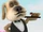 Dog Waiter