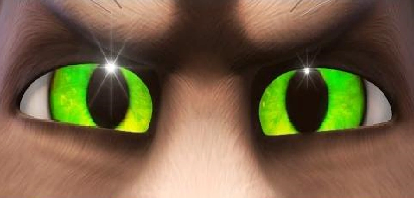 Talking Angela Room In Eyes