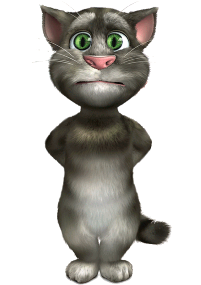 Unnamed second style | Talking Tom & Friends Wiki | Fandom