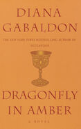 Dragonfly in amber-1.jpeg