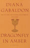 Dragonfly in amber-1.jpeg