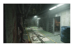 Release The Prisoners photo