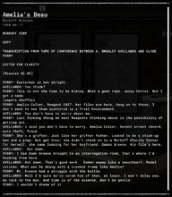 Amelia's Beau