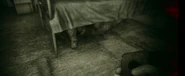 Pouncer bed.jpg (51 КБ) Прыгун, прячущийся под одной из кроватей в приюте