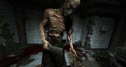 Outlast 01 26569.nphd