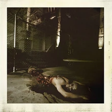 Failed Escape mansion