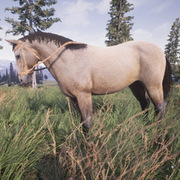 Horse Tame Solid.png