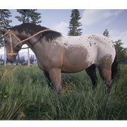 Horse Tame Exotic.png