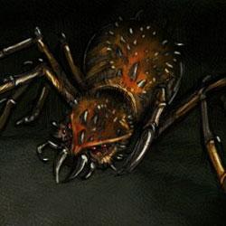 Deadly Spider | Outwar Wiki | Fandom