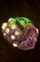 Scourge Cocoon