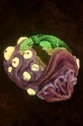 Scourge Cocoon