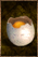 Cooked Bird Egg.png