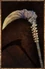 Crescent Scythe