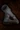 Wolf Medic Boots