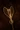 Damascene Hammer