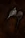 Virgin Knuckles
