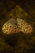 Sulphuric Mushroom.png