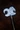 Chalcedony Hammer