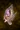 Manaheart Bass