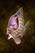 Manaheart Bass.png