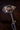 Wolf Mace