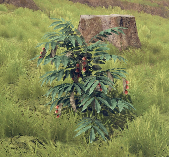 Crabeye Official Outward Wiki