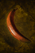 Baked Crescent.png