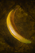 Golden Crescent.png