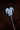 Chalcedony Mace