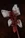 Vampiric Mace