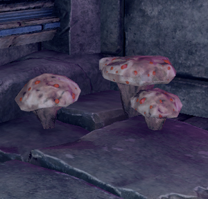 Blood Mushroom (Gatherable)