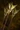 Holy Rage Arrow