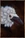 Pearlbird Mask